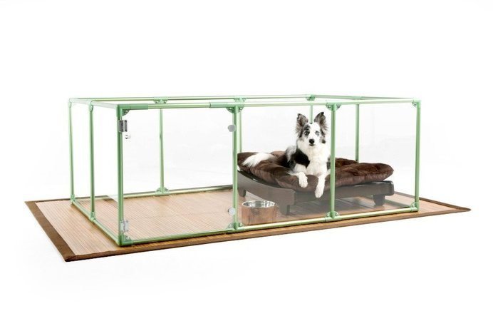 extra long dog crate