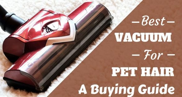best lightweight vacuum cleaner for pet hair